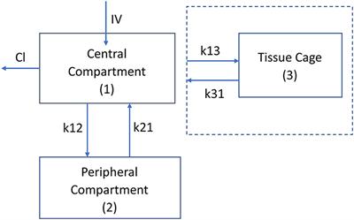 The Surface Area to Volume Ratio Changes the Pharmacokinetic and Pharmacodynamic Parameters in the Subcutaneous Tissue Cage Model: As Illustrated by Carprofen in Sheep